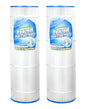 Yoozell Swimming Pool Filter Replaces for C-8420, Filbur FC-1211, CX2020RE, PWWPC200, Pro Clean 200, 817-0200P, CX1900RE, PA190, Darlly 82002, 200 Sq.Ft Filter Cartridge, 2 Pack
